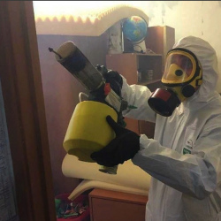 Уничтожение клопов в квартире. Урень